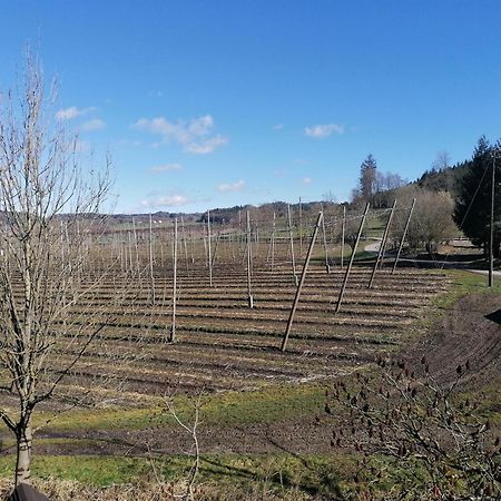 Ferienhof Hopfgaertle Mueller Bodnegg Luaran gambar