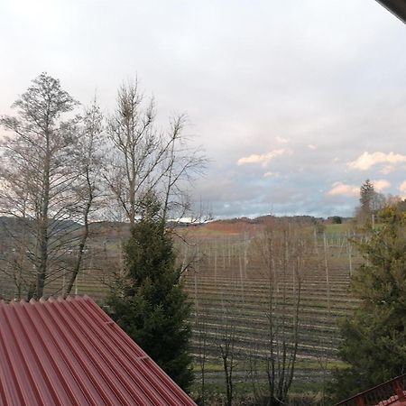 Ferienhof Hopfgaertle Mueller Bodnegg Luaran gambar