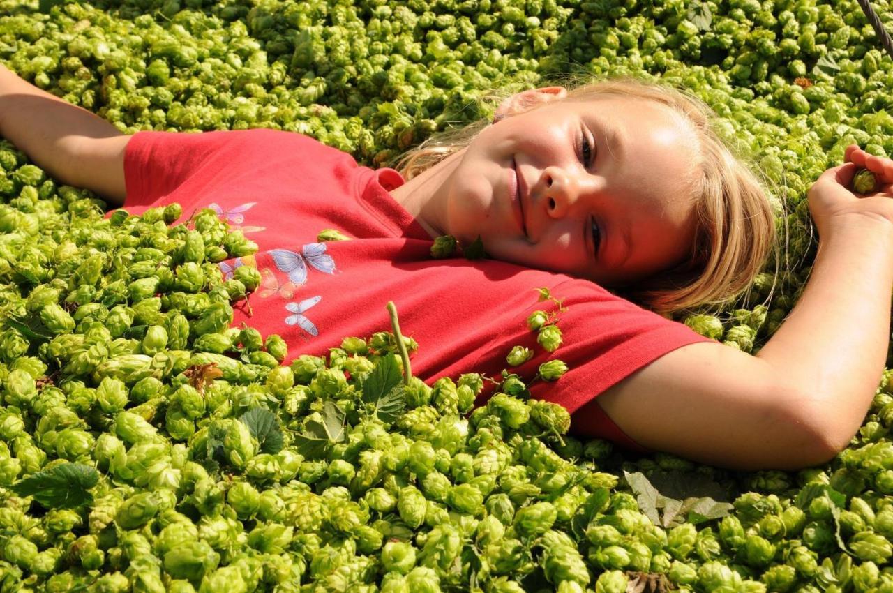 Ferienhof Hopfgaertle Mueller Bodnegg Luaran gambar