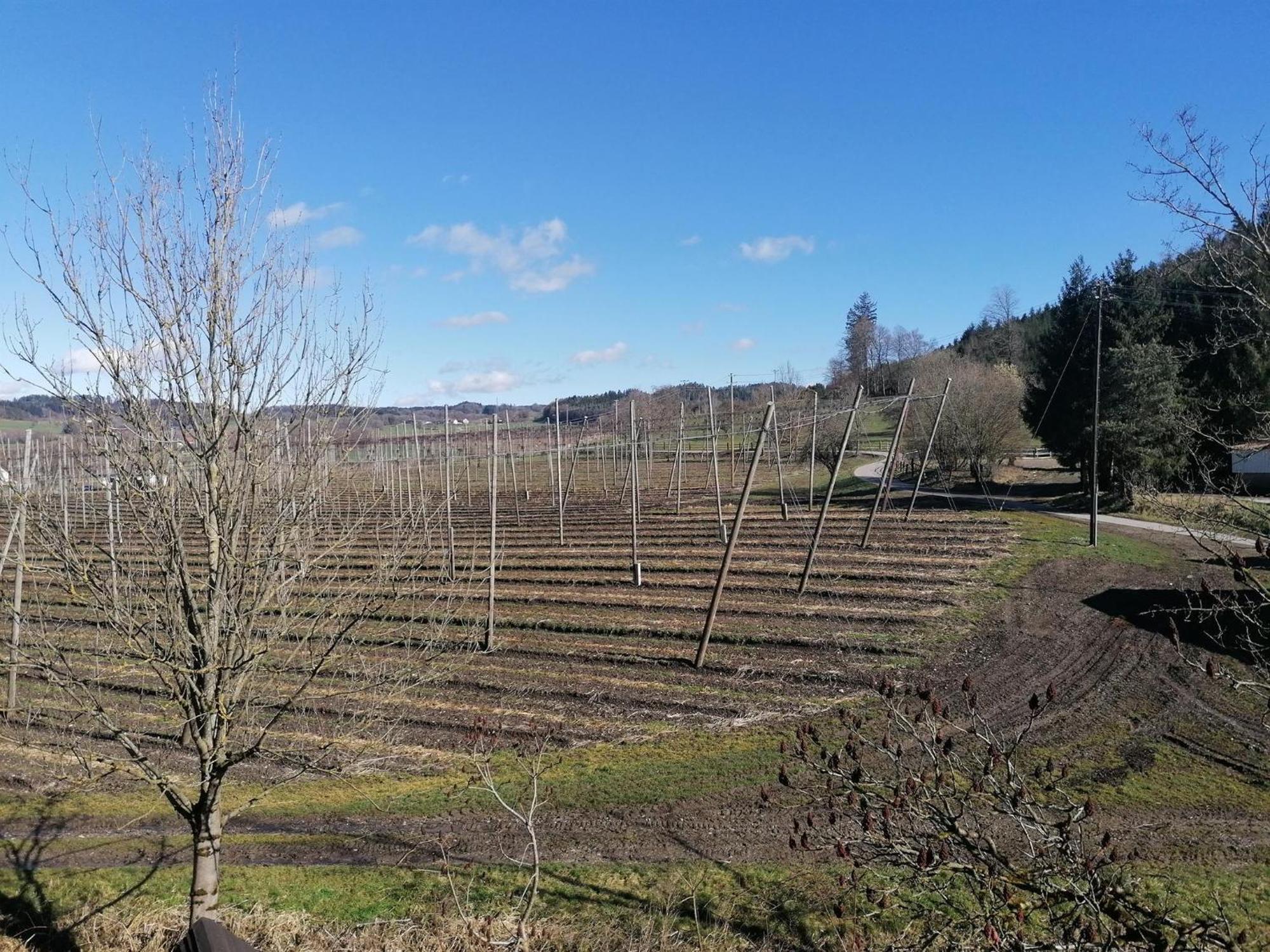 Ferienhof Hopfgaertle Mueller Bodnegg Luaran gambar